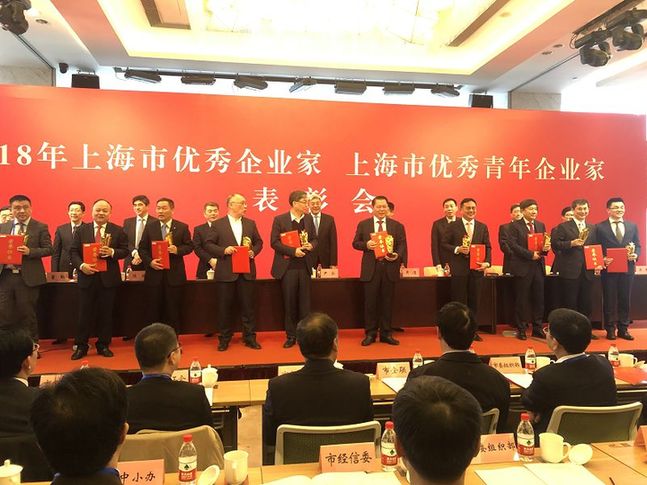 丁佐宏当选2018年上海市优秀企业家