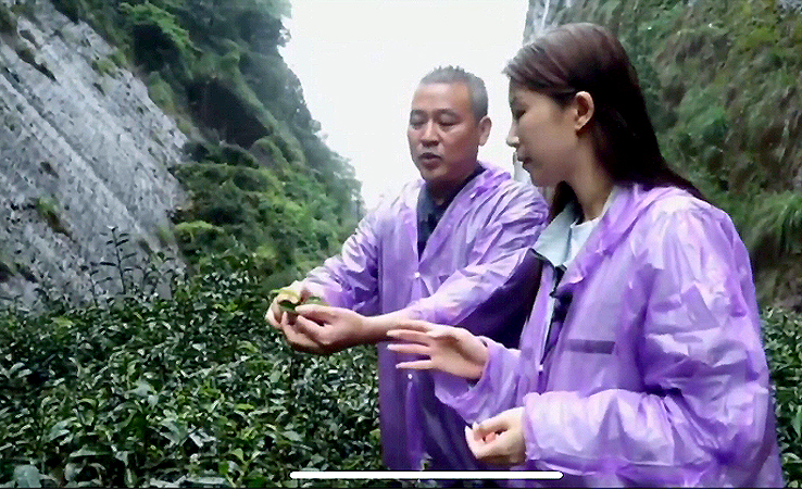 首个“国际茶日” 新华社“快看”联手中茶直播品读中国茶文化