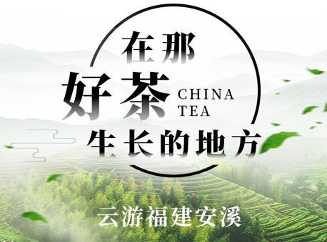 福建：安溪携手新华社“快看”开展“在那好茶生长的地方”主题直播活动
