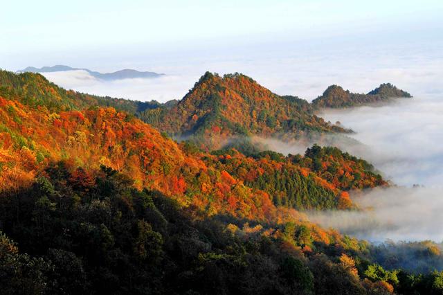敢试敢为的成功实践——湖南雪峰山生态文化旅游公司的林业改革创新之模式