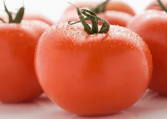 陕西临潼打造番茄产业链